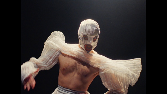 Video Reference: Human body, Flash photography, Entertainment, Performing arts, Gesture, Art, Choreography, Performance art, Event, Acting