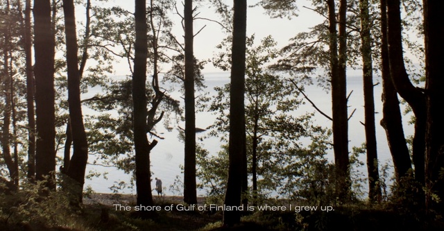 Video Reference: Sky, Natural landscape, Wood, Tree, Trunk, Plant, Twig, Atmospheric phenomenon, Deciduous, Landscape