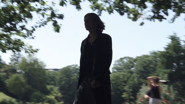 Video Reference: Sky, Plant, Branch, People in nature, Tree, Sunlight, Tints and shades, Art, Forest, Grass