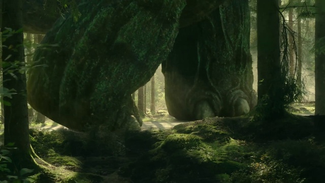 Video Reference: Plant, Ecoregion, Natural landscape, Wood, Terrestrial plant, Trunk, Organism, Grass, Landscape, Formation