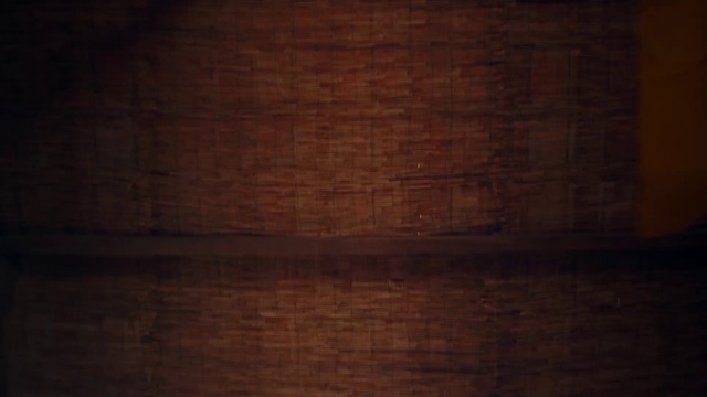 Video Reference: Brown, Amber, Wood, Rectangle, Floor, Wood stain, Flooring, Tints and shades, Hardwood, Brickwork