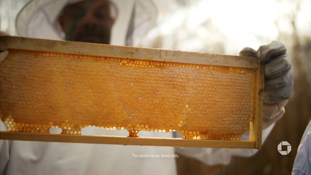 Video Reference: Brown, Beehive, Apiary, Honeycomb, Pollinator, Wood, Natural material, Rectangle, Honeybee, Amber