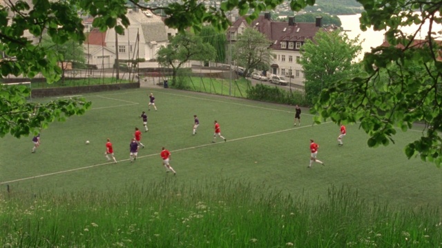Video Reference: Plant, Tree, Window, People in nature, Land lot, Player, Grass, Leisure, Public space, Grassland