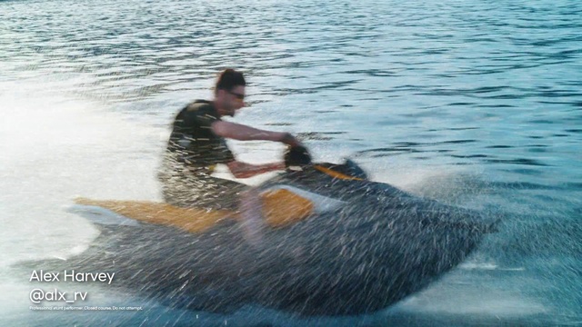 Video Reference: Water, Watercraft, Lake, Mammal, Vehicle, Carnivore, Boats and boating--Equipment and supplies, Working animal, Leisure, Recreation