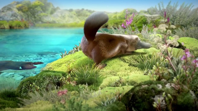 Video Reference: Plant, Water, Botany, Natural landscape, Terrestrial plant, Beak, Fawn, Grass, Sky, Wood