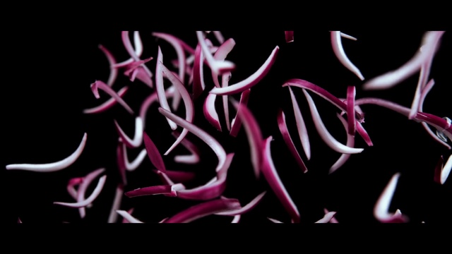 Video Reference: Purple, Petal, Organism, Pink, Art, Violet, Font, Magenta, Plant, Pattern