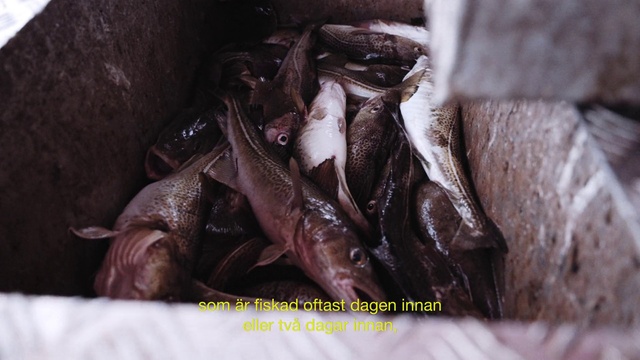 Video Reference: Brown, Liver, Metal, Wood, Carmine, Leather, Flesh, Art, Still life photography, Darkness