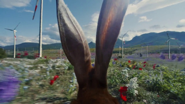 Video Reference: Cloud, Sky, Plant, Ecoregion, Flower, Tree, Grass, Wood, Landscape, Trunk