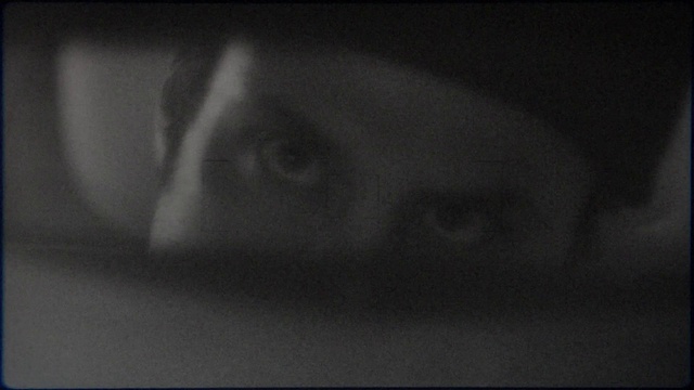 Video Reference: Jaw, Gesture, Carnivore, Eyelash, Whiskers, Snout, Sky, Darkness, Monochrome photography, Felidae