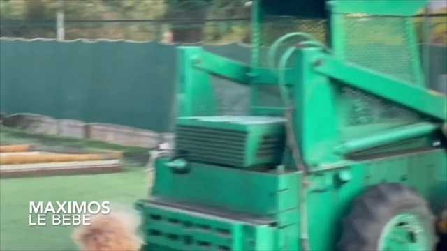 Video Reference: Wheel, Tire, Vehicle, Motor vehicle, Automotive tire, Grass, Gas, Engineering, Machine, Tread