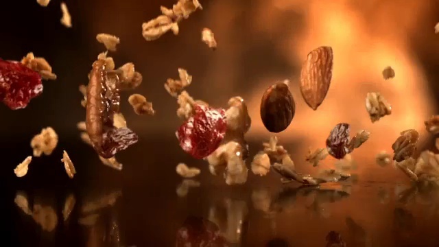 Video Reference: Plant, Sky, Organism, Petal, Twig, Marine biology, Close-up, Macro photography, Darkness, Wood