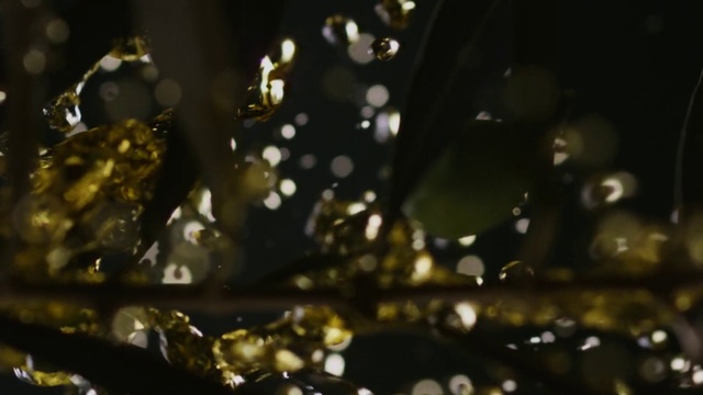 Video Reference: Liquid, Water, Automotive lighting, Plant, Twig, Terrestrial plant, Grass, Tints and shades, Moisture, Glass