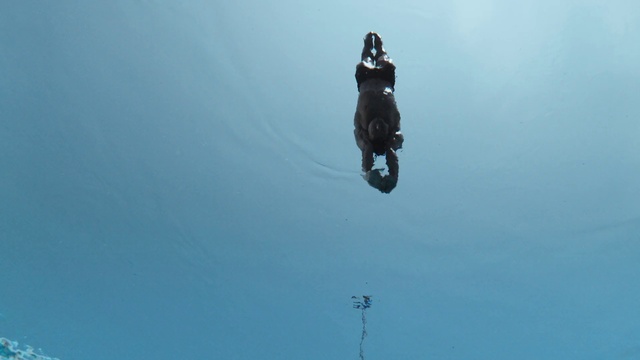 Video Reference: Wheel, Motorcycle, Vehicle, Tire, Sky, Stunt performer, Sports equipment, Stunt, Motorcycling, Recreation
