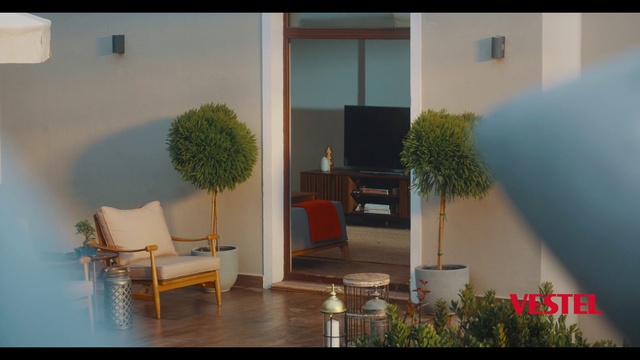 Video Reference: Plant, Furniture, Chair, Comfort, Wood, Shade, Interior design, Houseplant, Flooring, Floor
