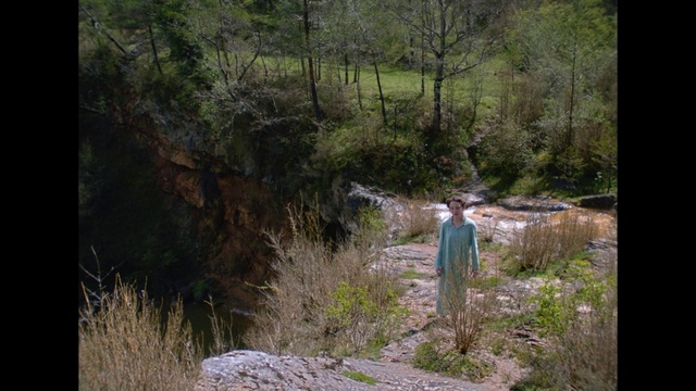 Video Reference: Plant, Plant community, Natural landscape, Tree, Watercourse, Wood, Bedrock, Landscape, Riparian zone, Grass