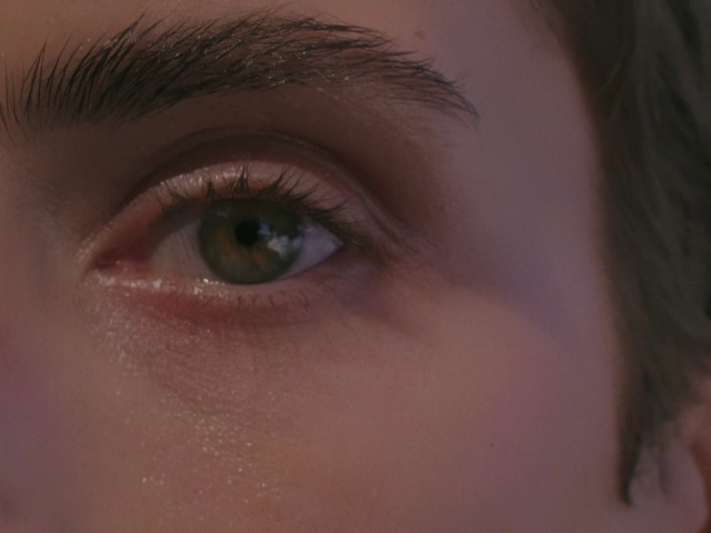 Video Reference: Nose, Eyebrow, Eyelash, Iris, Tints and shades, Close-up, Electric blue, Makeover, Macro photography, Flesh