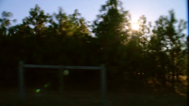 Video Reference: Sky, Automotive lighting, Natural landscape, Wood, Tree, Plant, Grass, Tints and shades, Twig, Landscape