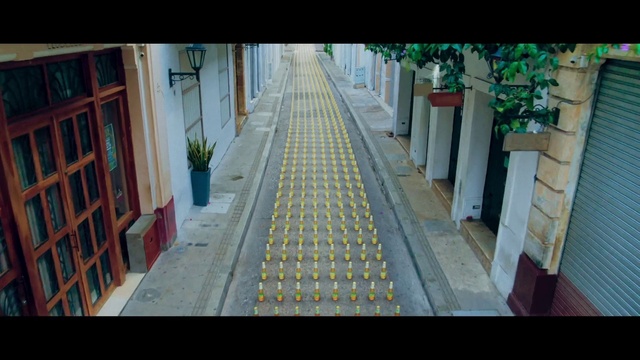 Video Reference: Plant, Wood, Building, Rectangle, Flooring, Road surface, Urban design, Houseplant, Flowerpot, Tree