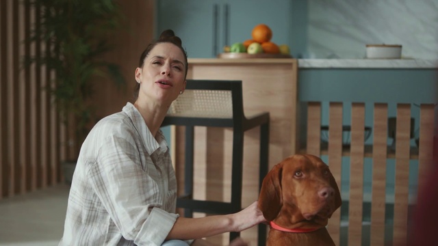 Video Reference: Dog, Carnivore, Dog breed, Liver, Companion dog, Pet supply, Working animal, T-shirt, Event, Gun dog