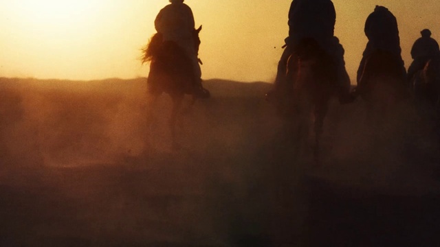 Video Reference: Sky, Vertebrate, People in nature, Sunlight, Tree, Sunrise, Natural landscape, Dusk, Landscape, Sunset