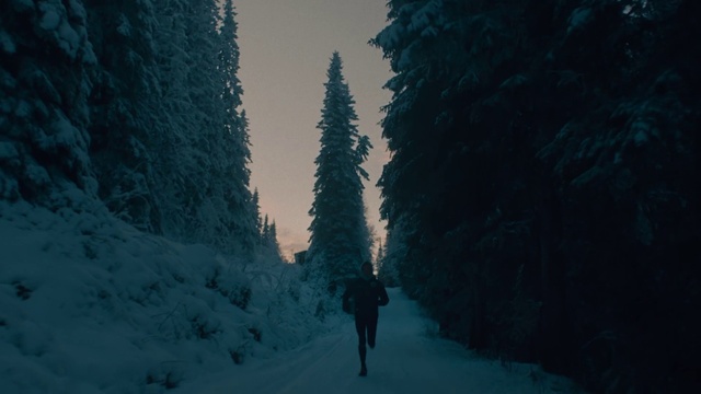 Video Reference: Sky, Cloud, Plant, Snow, Slope, Tree, Terrain, Atmospheric phenomenon, Freezing, Evergreen