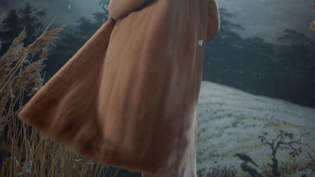 Video Reference: Water, Wood, Tints and shades, Grass, Wing, Tree, Feather, Human leg, Landscape, Forest