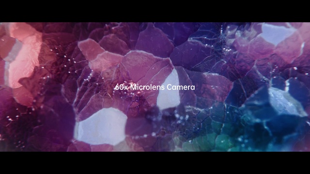 Video Reference: Water, Purple, Petal, Organism, Violet, Font, Pink, Magenta, Art, Entertainment