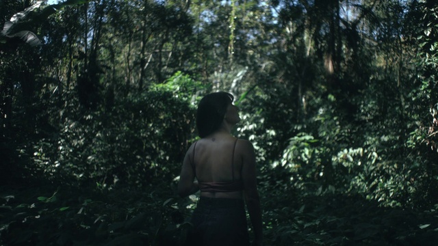 Video Reference: Plant community, Plant, People in nature, Natural landscape, Terrestrial plant, Wood, Tree, Shade, Trunk, Tints and shades