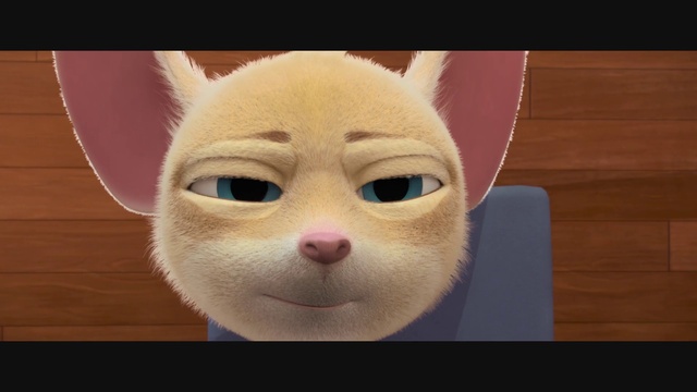 Video Reference: Head, Cat, Felidae, Carnivore, Jaw, Small to medium-sized cats, Whiskers, Fawn, Snout, Eyelash