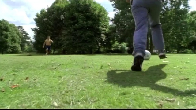 Video Reference: Plant, Green, Golf equipment, Golf, Tree, Golfer, Sky, Professional golfer, Sports equipment, Grass