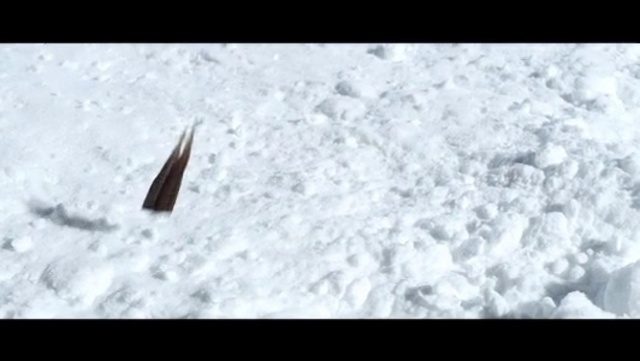 Video Reference: Snow, Freezing, Font, Slope, Natural material, Winter, Monochrome photography, Rock, Frost, Twig