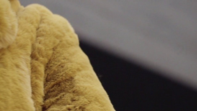 Video Reference: Arm, Eye, Leg, Gesture, Wood, Snout, Felidae, Human leg, Fur, Tail