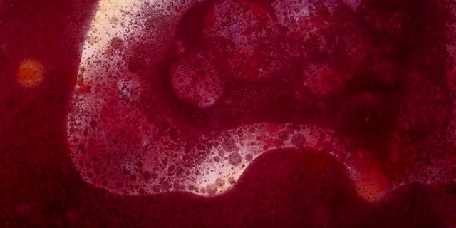 Video Reference: Petal, Pink, Magenta, Automotive lighting, Tints and shades, Carmine, Font, Annual plant, Macro photography, Flesh