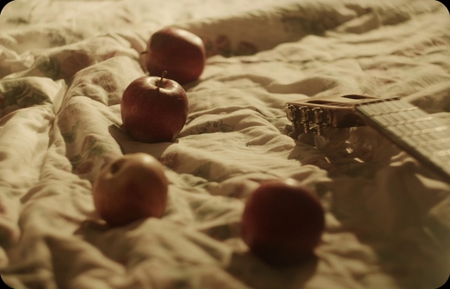 Video Reference: Brown, Plant, Fruit, Food, Wood, Natural foods, Produce, Apple, Sweetness, Local food