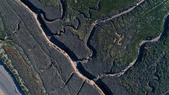 Video Reference: Automotive tire, Wood, Road surface, Tread, Trunk, Landscape, Asphalt, Geological phenomenon, Pattern, Soil