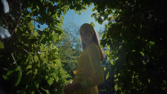 Video Reference: Sky, Plant, People in nature, Wood, Tree, Twig, Sunlight, Dress, Grass, Trunk