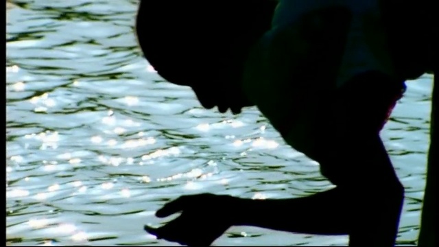 Video Reference: Water, Liquid, Lake, Human leg, Tree, Wing, Tail, Shadow, Darkness, Foot