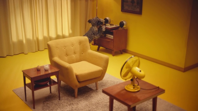 Video Reference: Table, Furniture, Comfort, Chair, Curtain, Building, Lighting, Interior design, Couch, Yellow