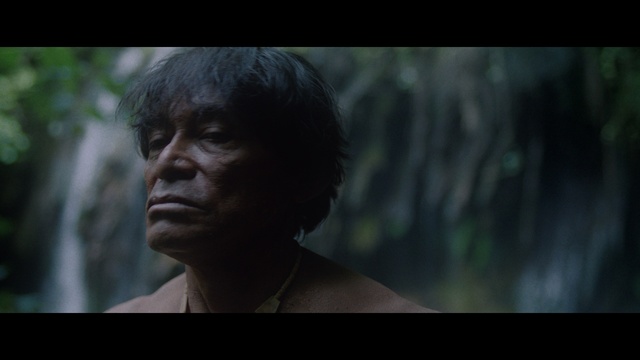 Video Reference: Human body, Flash photography, Jaw, Eyelash, Happy, Tree, Wrinkle, Forest, Darkness, Chest