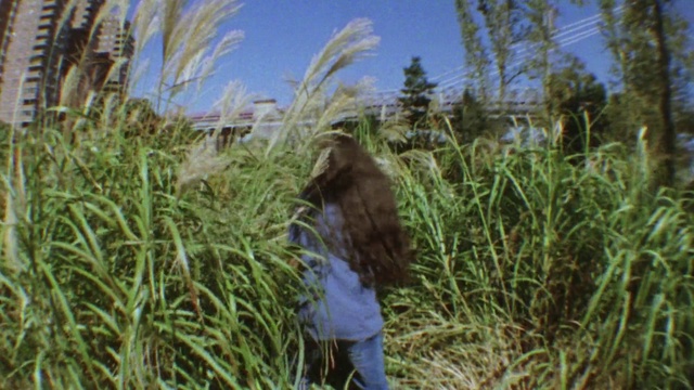 Video Reference: Sky, Plant, Terrestrial plant, People in nature, Grass, Natural landscape, Tree, Grass family, Meadow, Agriculture