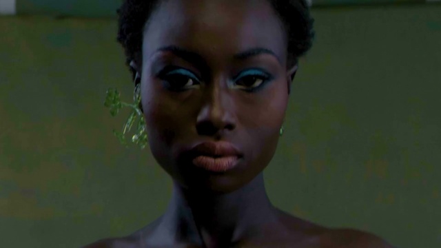 Video Reference: Nose, Cheek, Lip, Eyelash, Human body, Ear, Jaw, Flash photography, Temple, Iris