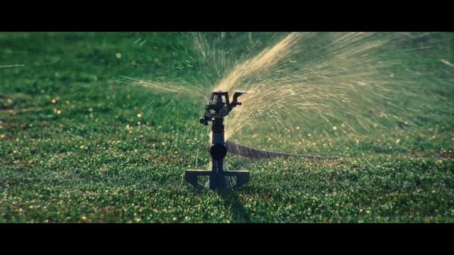 Video Reference: Water, Atmosphere, People in nature, Plant, Flash photography, Grass, Grassland, Landscape, Tints and shades, Meadow
