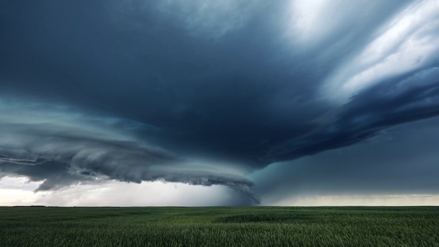 Video Reference: Cloud, Sky, Atmosphere, Plant, Natural landscape, Cumulus, Grass, Grassland, Plain, Horizon