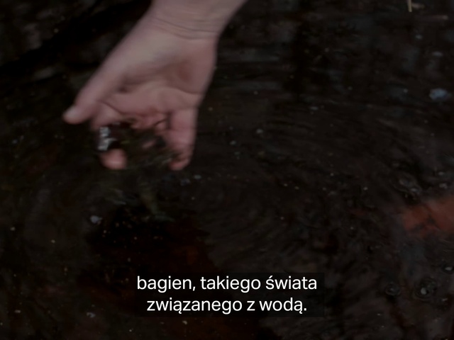 Video Reference: Hand, Water, Gesture, Nail, Foot, Asphalt, Automotive tire, Human leg, Thumb, Soil