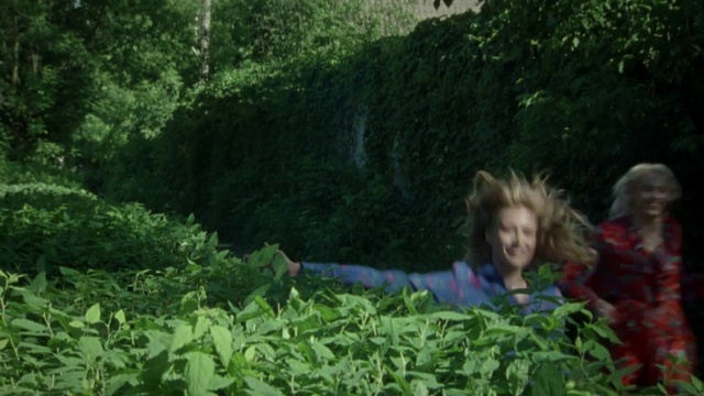 Video Reference: Plant, Plant community, People in nature, Natural landscape, Terrestrial plant, Shrub, Groundcover, Grass, Tree, Landscape