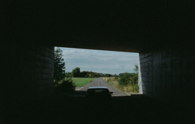 Video Reference: Plant, Automotive lighting, Automotive mirror, Automotive tire, Sky, Road surface, Motor vehicle, Window, Asphalt, Vehicle