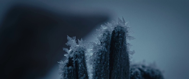 Video Reference: Water, Plant, Sky, Natural landscape, Grey, Tree, Atmospheric phenomenon, Cloud, Fountain, Freezing