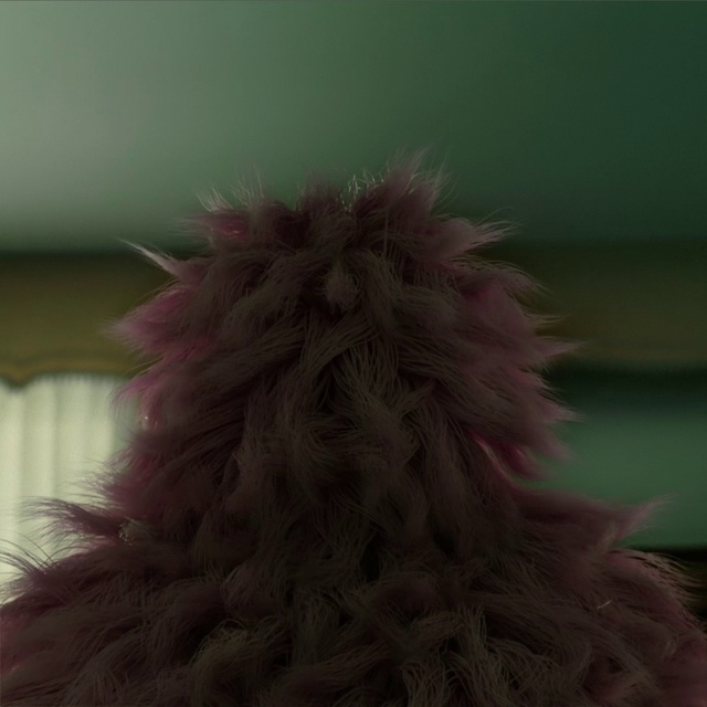 Video Reference: Terrestrial plant, Plant, Feather, Twig, Tree, Whiskers, Magenta, Fur, Grass, Natural material