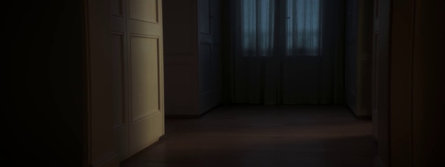 Video Reference: Wood, Door, Fixture, Flooring, Tints and shades, Hardwood, Darkness, Space, Concrete, Ceiling