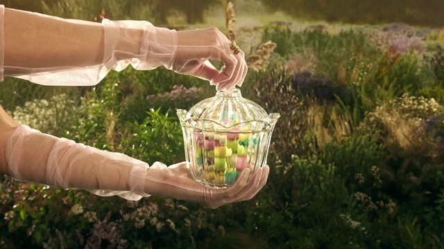 Video Reference: Plant, People in nature, Drinkware, Grass, Food, Happy, Basket, Grass family, Cuisine, Meadow